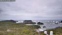 ./images/calvert/lookout/20260525/lookout20260525_111001M.jpg