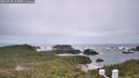 ./images/calvert/lookout/20260525/lookout20260525_114002M.jpg