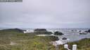 ./images/calvert/lookout/20260525/lookout20260525_114501M.jpg