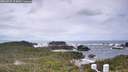 ./images/calvert/lookout/20260525/lookout20260525_124001M.jpg