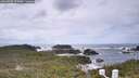 ./images/calvert/lookout/20260525/lookout20260525_124501M.jpg