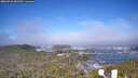 ./images/calvert/lookout/20260526/lookout20260526_082501M.jpg