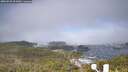 ./images/calvert/lookout/20260526/lookout20260526_091001M.jpg