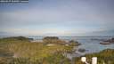 ./images/calvert/lookout/20260527/lookout20260527_064502M.jpg