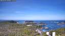 ./images/calvert/lookout/20260527/lookout20260527_093001M.jpg