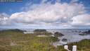 ./images/calvert/lookout/20260529/lookout20260529_091001M.jpg