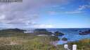 ./images/calvert/lookout/20260530/lookout20260530_090501M.jpg