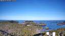 ./images/calvert/lookout/20260531/lookout20260531_072501M.jpg