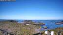 ./images/calvert/lookout/20260531/lookout20260531_073001M.jpg