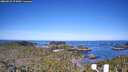 ./images/calvert/lookout/20260531/lookout20260531_074501M.jpg