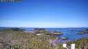 ./images/calvert/lookout/20260531/lookout20260531_075001M.jpg