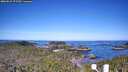./images/calvert/lookout/20260531/lookout20260531_075501M.jpg