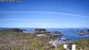 ./images/calvert/lookout/20260531/lookout20260531_092501M.jpg