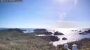 ./images/calvert/lookout/20260531/lookout20260531_174501M.jpg