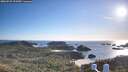 ./images/calvert/lookout/20260531/lookout20260531_193501M.jpg
