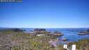 ./images/calvert/lookout/20260601/lookout20260601_081501M.jpg