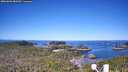 ./images/calvert/lookout/20260601/lookout20260601_083501M.jpg