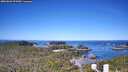 ./images/calvert/lookout/20260601/lookout20260601_092001M.jpg