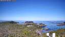 ./images/calvert/lookout/20260602/lookout20260602_081001M.jpg