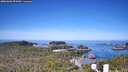./images/calvert/lookout/20260602/lookout20260602_093001M.jpg