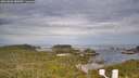 ./images/calvert/lookout/20260603/lookout20260603_080501M.jpg
