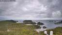 ./images/calvert/lookout/20260604/lookout20260604_082001M.jpg