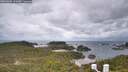 ./images/calvert/lookout/20260604/lookout20260604_121001M.jpg