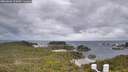 ./images/calvert/lookout/20260604/lookout20260604_124501M.jpg