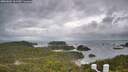 ./images/calvert/lookout/20260604/lookout20260604_161501M.jpg