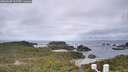 ./images/calvert/lookout/20260605/lookout20260605_112501M.jpg
