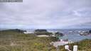 ./images/calvert/lookout/20260605/lookout20260605_115001M.jpg