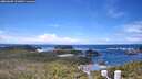 ./images/calvert/lookout/20260605/lookout20260605_131002M.jpg