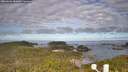 ./images/calvert/lookout/20260606/lookout20260606_080001M.jpg