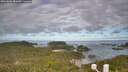 ./images/calvert/lookout/20260606/lookout20260606_081001M.jpg