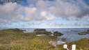 ./images/calvert/lookout/20260606/lookout20260606_083501M.jpg