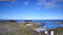 ./images/calvert/lookout/20260606/lookout20260606_092501M.jpg