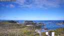 ./images/calvert/lookout/20260606/lookout20260606_093001M.jpg