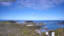 ./images/calvert/lookout/20260606/lookout20260606_093501M.jpg