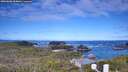 ./images/calvert/lookout/20260606/lookout20260606_094001M.jpg