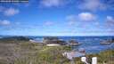 ./images/calvert/lookout/20260606/lookout20260606_101001M.jpg