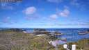 ./images/calvert/lookout/20260606/lookout20260606_101501M.jpg