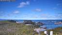 ./images/calvert/lookout/20260606/lookout20260606_102502M.jpg