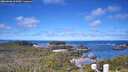 ./images/calvert/lookout/20260606/lookout20260606_103001M.jpg