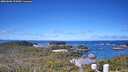 ./images/calvert/lookout/20260606/lookout20260606_105001M.jpg