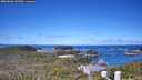 ./images/calvert/lookout/20260606/lookout20260606_105501M.jpg