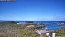 ./images/calvert/lookout/20260606/lookout20260606_110501M.jpg
