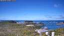 ./images/calvert/lookout/20260606/lookout20260606_111001M.jpg