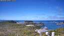 ./images/calvert/lookout/20260606/lookout20260606_112001M.jpg