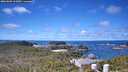 ./images/calvert/lookout/20260606/lookout20260606_113001M.jpg
