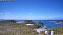 ./images/calvert/lookout/20260606/lookout20260606_122501M.jpg